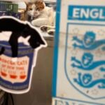 ‘Bodega Cats of New York’ Advocates for the City’s Beloved Feline Shopkeepers