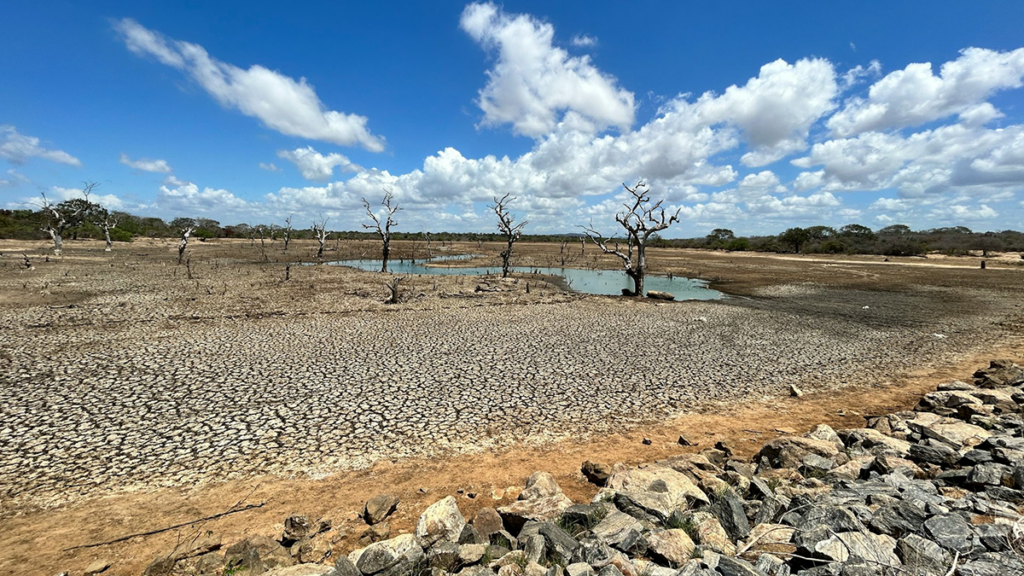 Drought Extremes are Intensifying More Rapidly Than in the Past