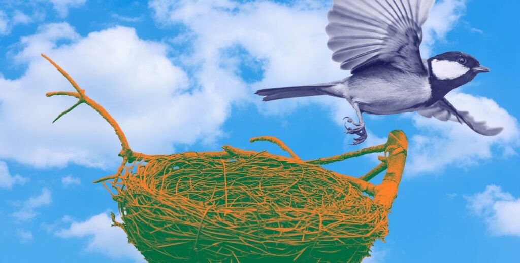 Trust Me, Here Are 10 Things To Do To Get Ready To Become An Empty Nester