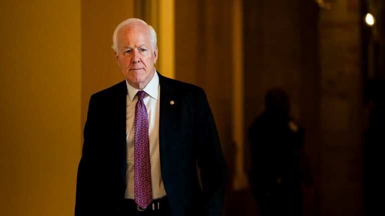 Cornyn raises concerns about Trump move to build border wall in national park