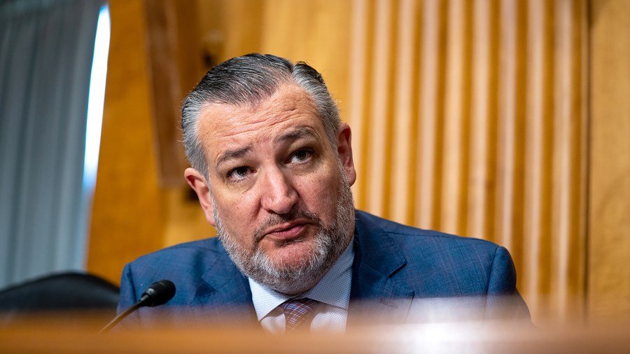 Cruz says GOP hasn't coalesced behind Vance for 2028 nomination: 'Oh, no'