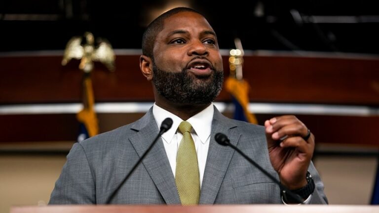 Donalds says he's 'working' with Haitian leaders to stabilize government after end of TPS