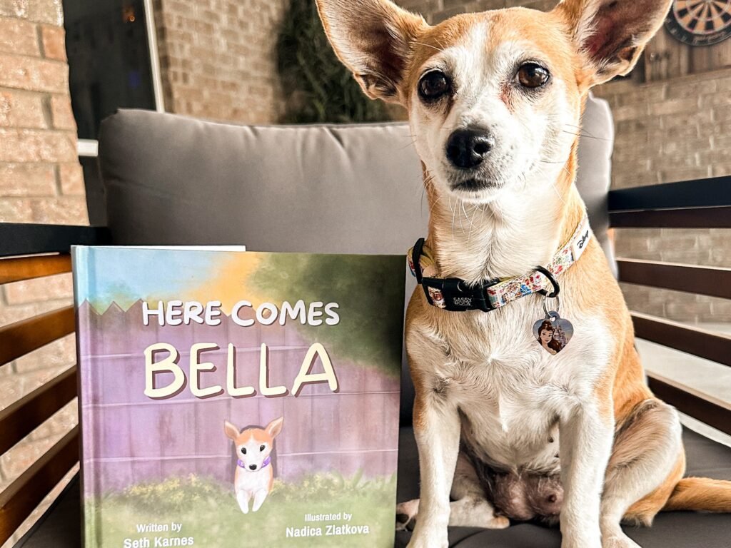 The Little Chihuahua Who Walked Into Our Lives When We Needed Her Most