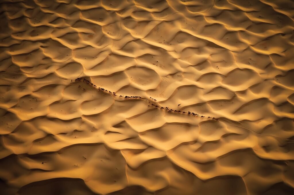 Björn Persson’s New Book Highlights the World’s Incredible and Endangered Wildlife