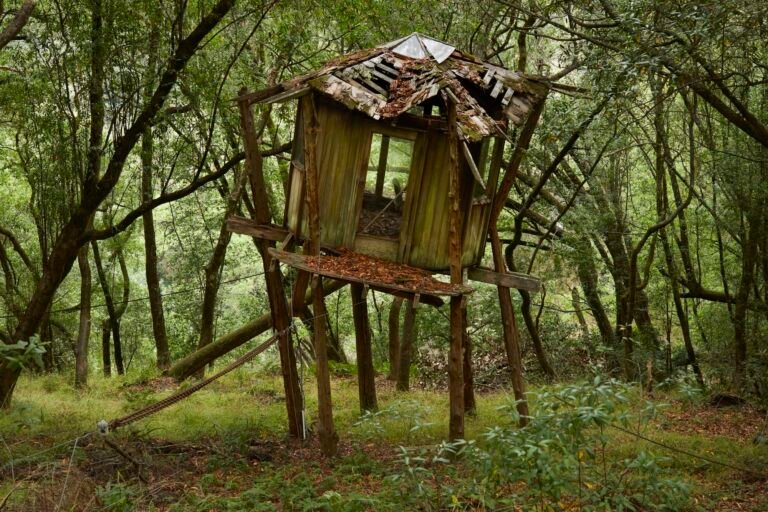 ‘Handmade Utopia’ Relishes the Architecture of California’s Back-to-the-Land Movement