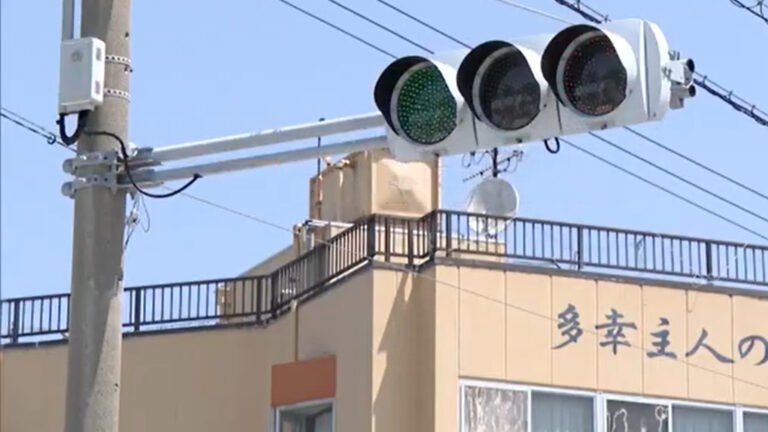 Why This Traffic Light Only Turns Green Once Per Year