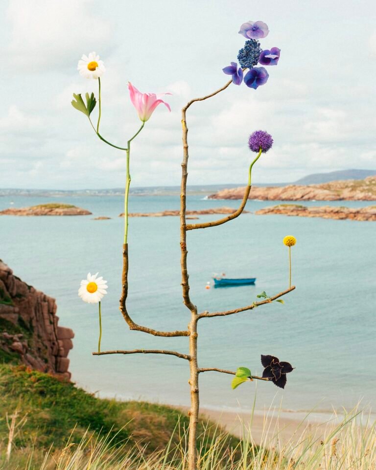 Jennifer Latour Preserves Ephemeral Beauty in Her Otherworldly Botanical Assemblages