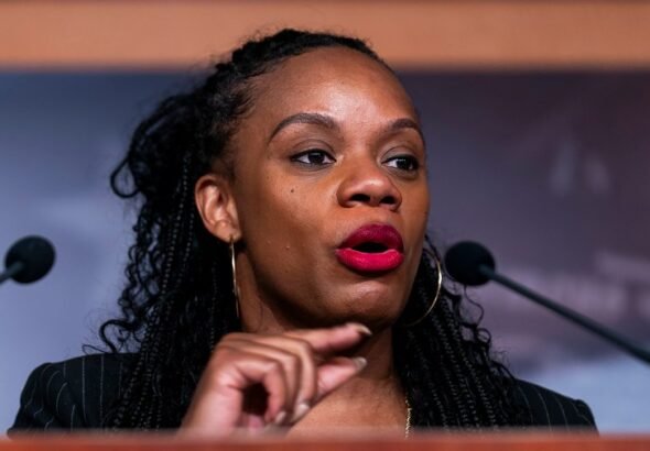 Summer Lee: Concerns over rise of socialism in Democratic Party 'political noise'