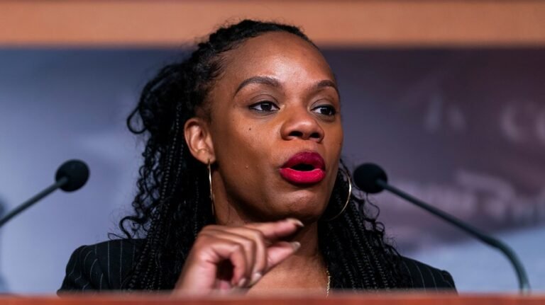 Summer Lee: Concerns over rise of socialism in Democratic Party 'political noise'