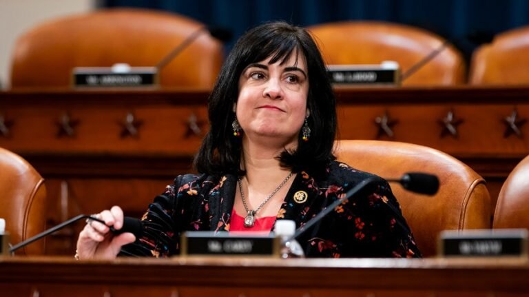 New York Republican says DSA candidates will make up 'commie caucus' if elected to Congress