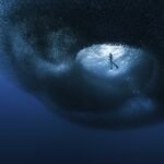 The Ocean Photographer of the Year Finalists Highlight the Sorrowful and Sublime