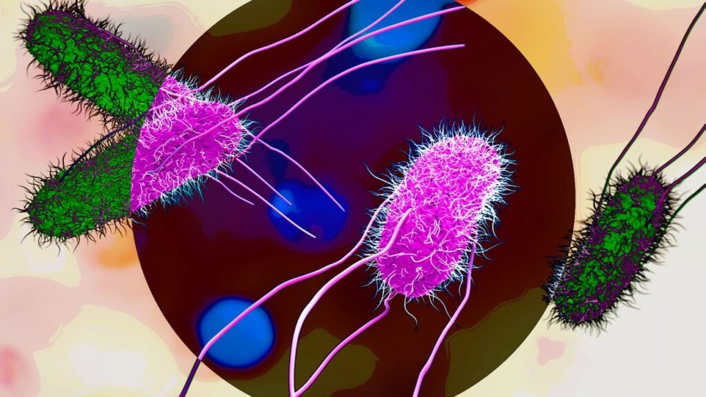 Dozens hospitalized as dual Salmonella outbreaks spread to more than 30 states: Avoid these products