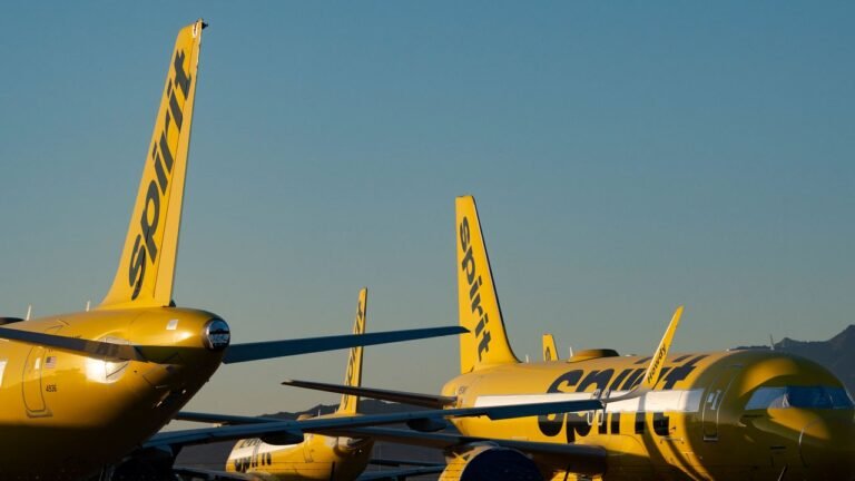 Why Spirit Airlines’ internal data has become a hot commodity for AI companies