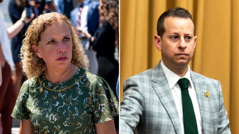 Moskowitz, Wasserman Schultz duel progressives in redistricted South Florida  
