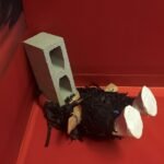 Artists at Spring Break Art Show Tackle Life's Crushing Burdens