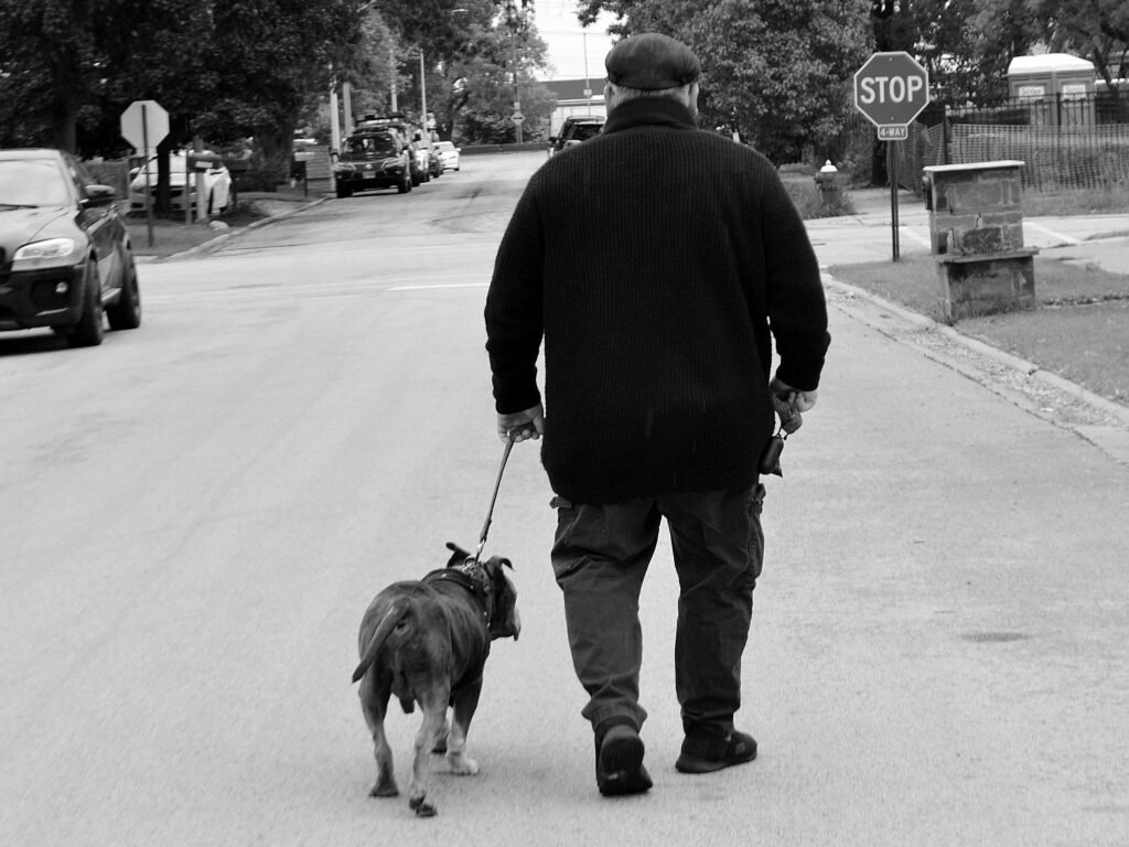 Two Old Dogs Who Rescued Each Other