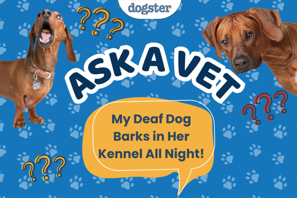 Ask Dr. Paola - HELP! My Deaf Dog Barks in Her Kennel All Night! (September 21, 2026)
