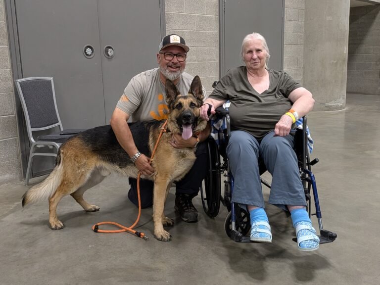 Wildfire Hero: How This German Shepherd Saved Lives