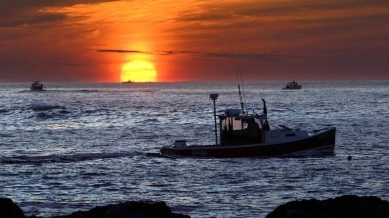 Maine’s lobster industry finds itself squeezed on all sides amid Canada trade war