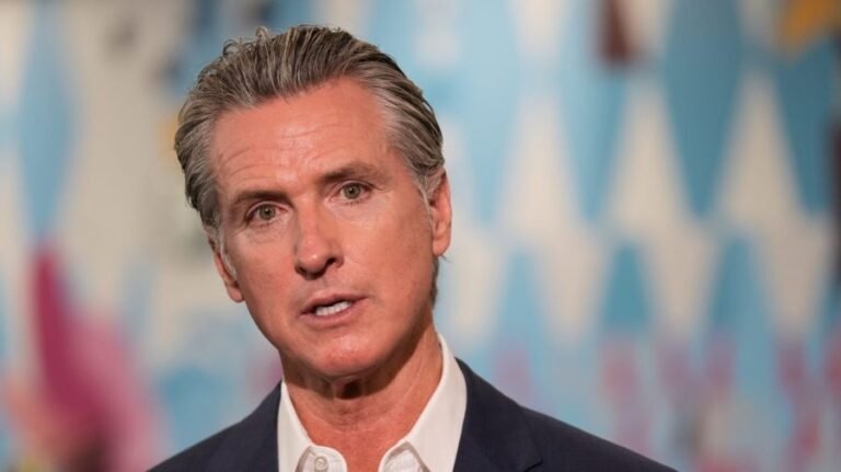 Newsom says he won't run for president in 2028 if Harris does 