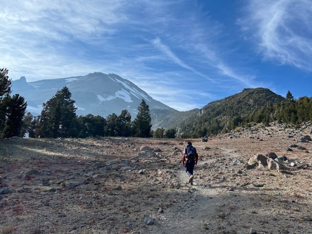 Hikers 'relied too much' on AI and had to be rescued. A ranger says it wasn't the first AI-related mishap he's seen.