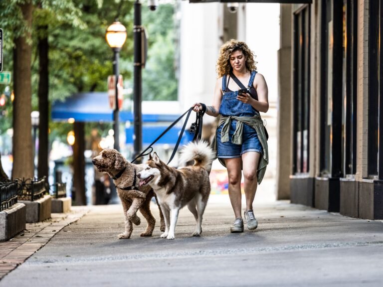 The side-hustle economy is getting more middle-class