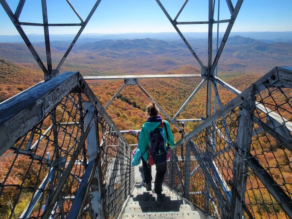 I've lived in the Carolinas for years. There's one small town I swear by visiting every fall.