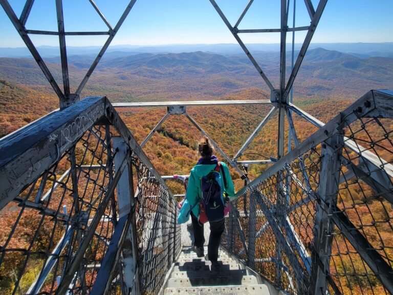 I've lived in the Carolinas for years. There's one small town I swear by visiting every fall.
