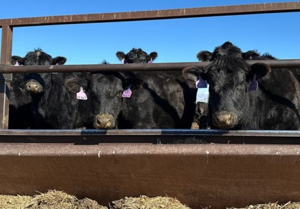 Trump faces down beef backlash. Will import plan pay off?