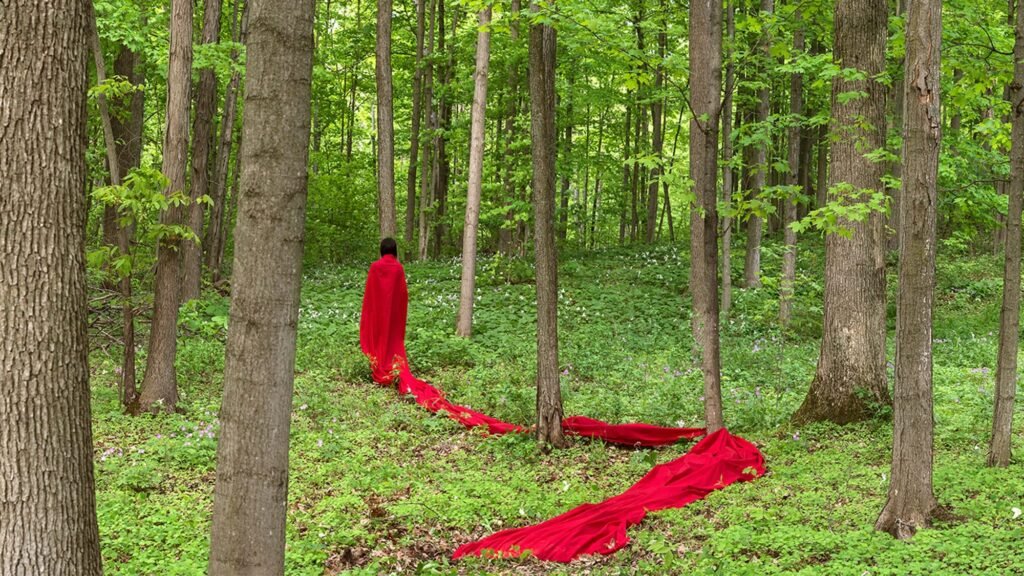 OCAD University Presents Canada's Pavilion at the 2026 Gwangju Biennale