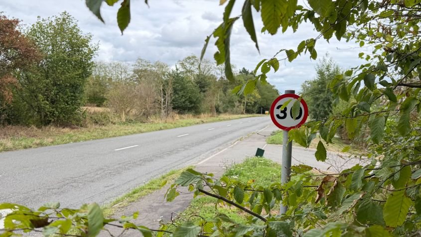 Bush it to the limit! One in five drivers blame a speeding fine on hedges