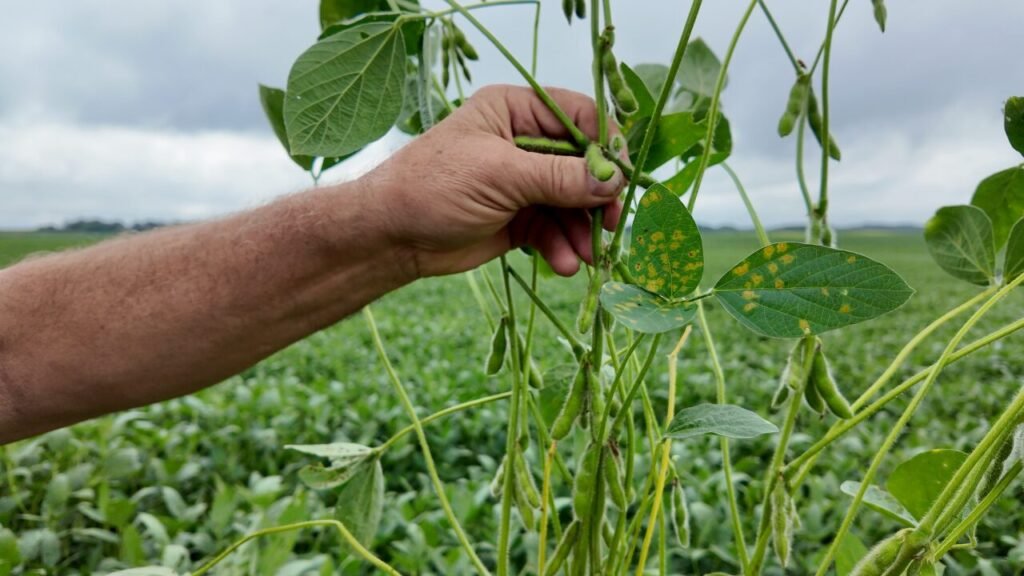 Robigo Bio eyes commercialization for its ag biologicals with Leaps by Bayer investment