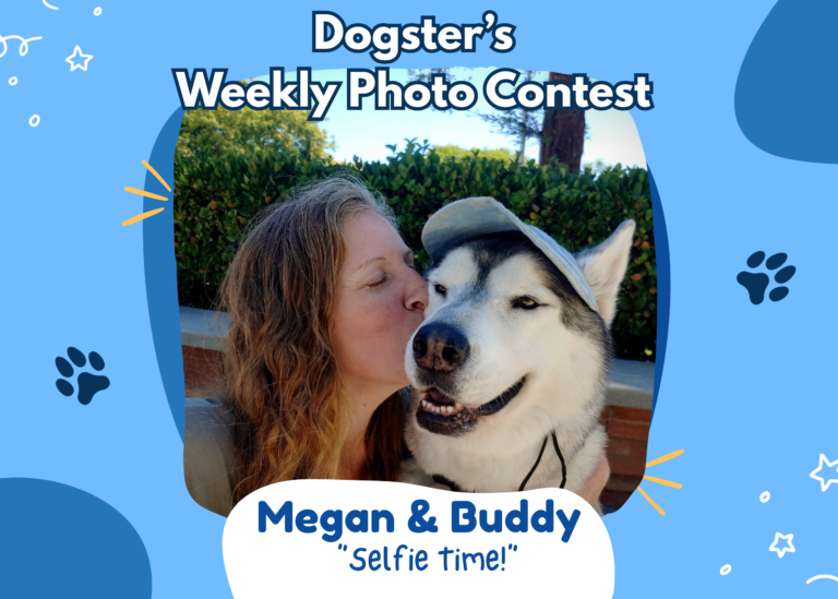 Dogster’s Weekly Photo Contest Winners: Selfie Time! (September 14, 2026)