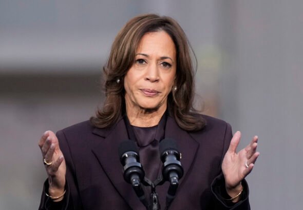 Kamala Harris on red-state Dems keeping her at arm's length: ‘Whatever they need to do to win’