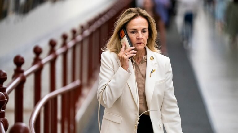 House Democrat 'far less worried' about democratic socialists than Republicans 'complicit' with Trump