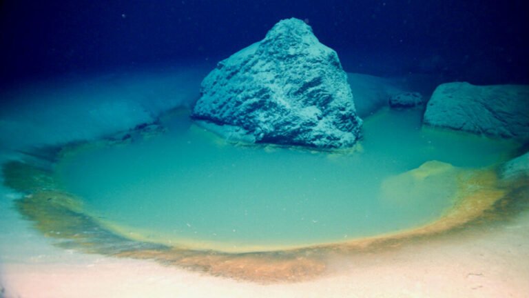 Briny “Death Pools” Hold Clues to Early Life