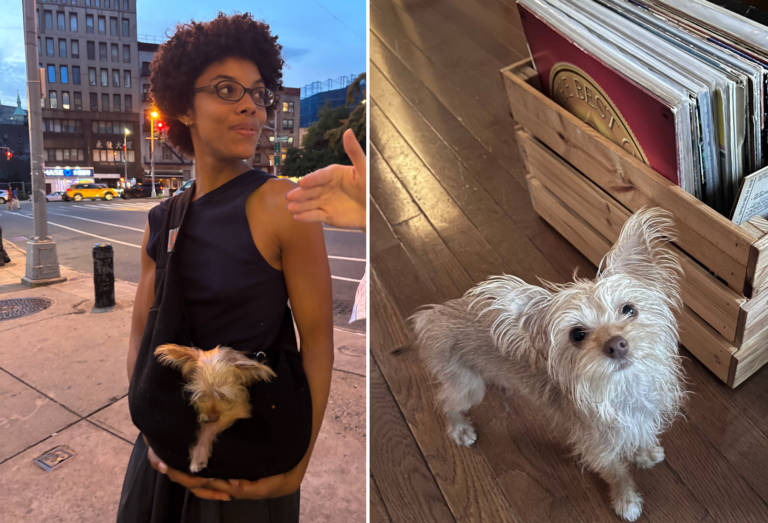 Artists Deserve to Afford Pets
