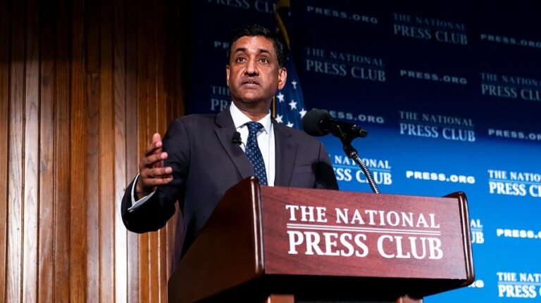 Khanna calls for a government agency to oversee AI 'like the FDA'