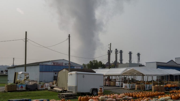 Power Plants Will Be Allowed To Pollute As Much As They Want Under New EPA Rules
