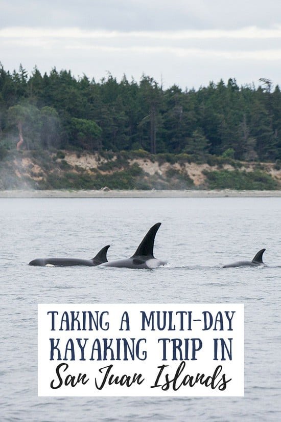 San Juan Islands Kayaking: A Multi-Day Trip for Spotting Whales