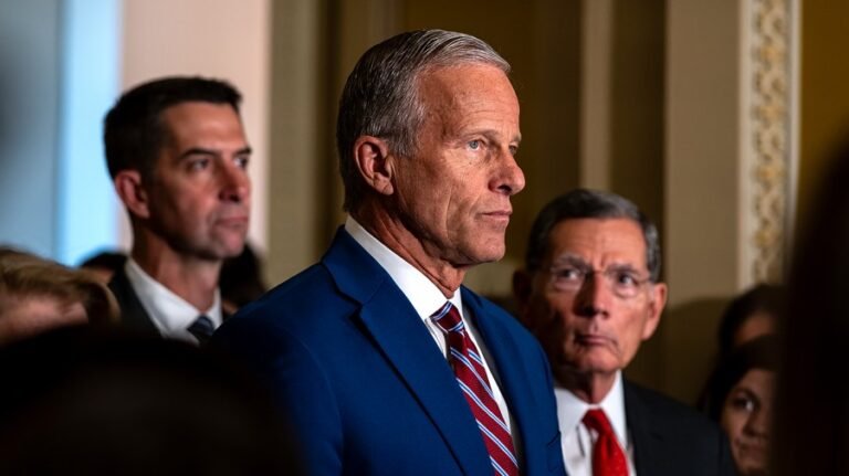 Thune says he worries about losing Senate majority: 'I’m a realist'