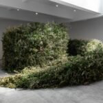 How Monumental Environmental Works by Meg Webster Cultivate Reconnection
