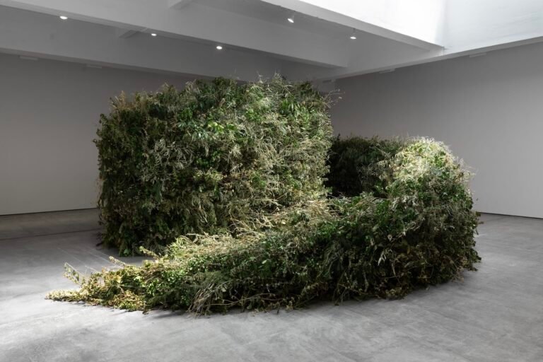 How Monumental Environmental Works by Meg Webster Cultivate Reconnection