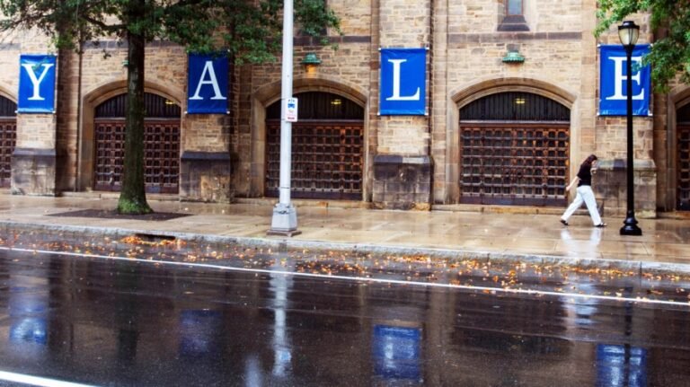 Between AI and grade inflation, colleges no longer trust your application 