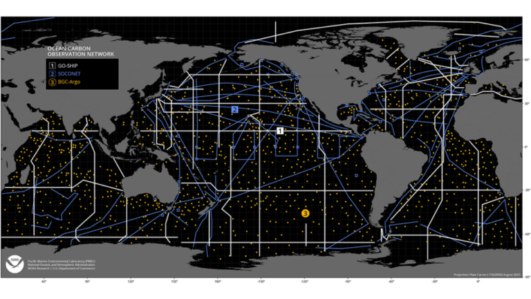 Now Critical: Optimizing Complementary Ocean Carbon Observing Networks