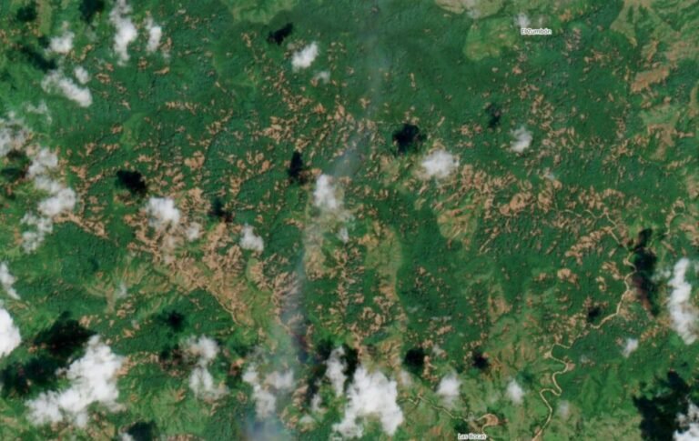 Landslides triggered by the 9 October 2026 Mw =7.7 earthquake in Panama