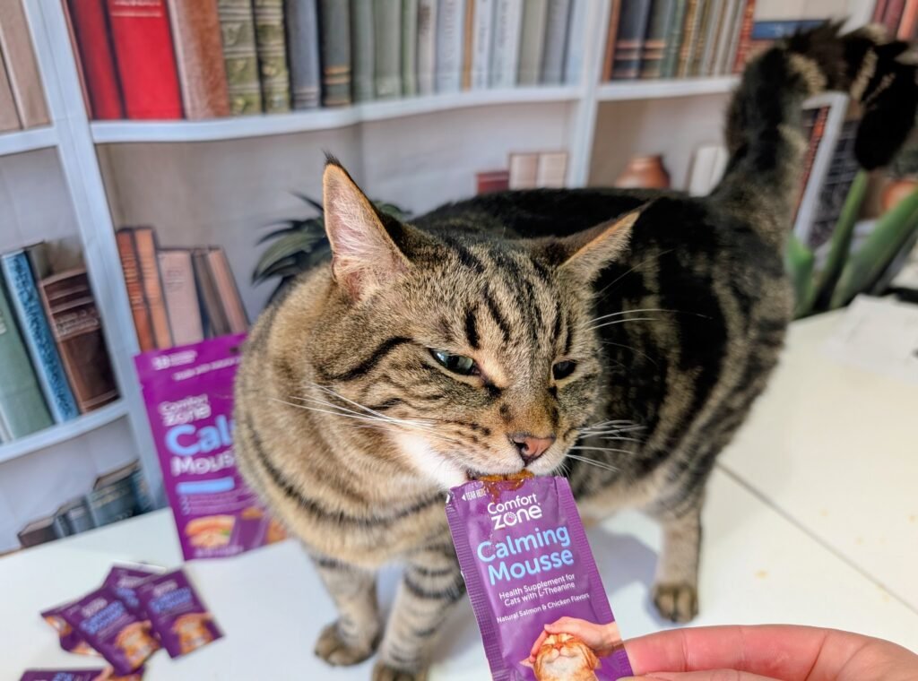 Comfort Zone Calming Mousse Review 2026:  Our Expert’s Opinion