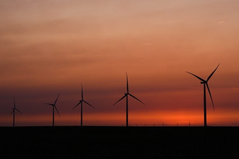 Trump advances two wind projects 