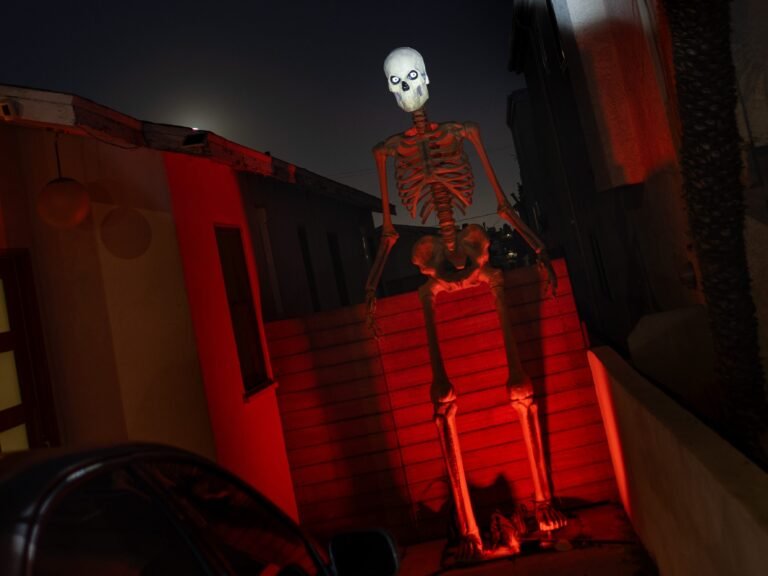 Americans’ love of oversized Halloween skeletons is still going strong