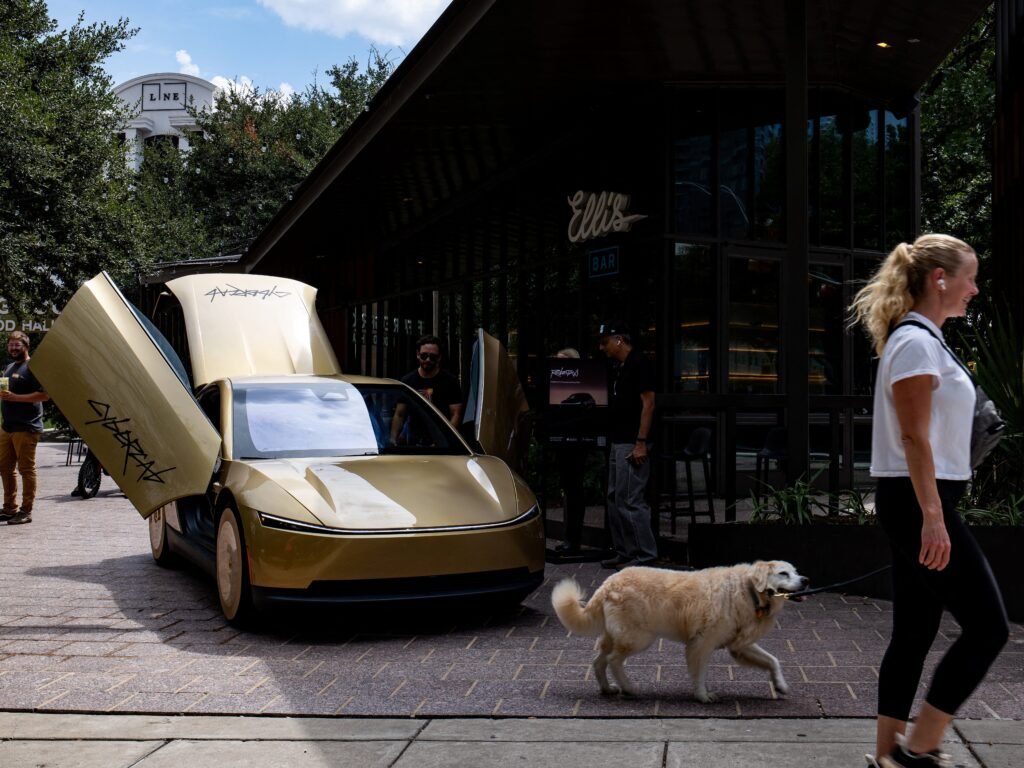 Elon Musk says Tesla is trying to prevent robotaxis from running over cats at night